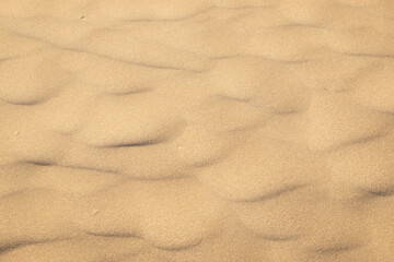 Southern Italian beach in Puglia, Italy, Salento, particular wave effect created by the wind on the gold sand, pleasant tropical background, notice the shade of the small plants.