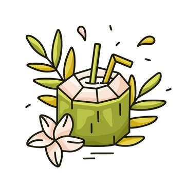 Green coconut juice doodle vector illustration. Color cartoon hand drawn print of pina colada for menu, t-shirt. Coco drink, cocktail or milk with straw, leaves. Juicy summer picture. White background