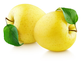 Two yellow apple fruit with green leaf isolated on white background. Golden apples with clipping path. Full Depth of Field