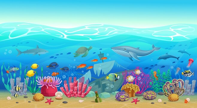 Big marine set of coral reef with algae tropical fish, a whale, an octopus, a turtle, jellyfish, a shark, an angler fish, a seahorse, a squid and corals. Vector illustration in cartoon style.