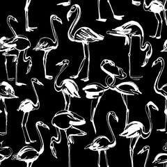 Tropical exotic birds flamingos summer seamless pattern. Black