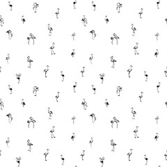 Tropical exotic birds flamingos summer seamless pattern. Black a