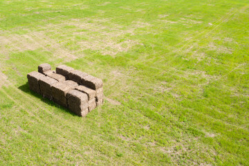 farm field, agriculture, view from above