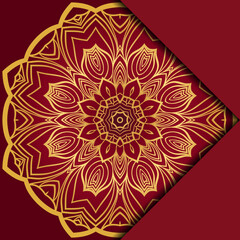 Mandala background. Vector illustration. For book cover