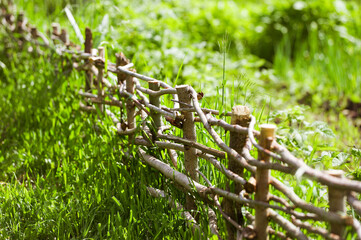 Wicker fence made of willow, with a lot of juicy green grass, bathed in the rays of the Sun