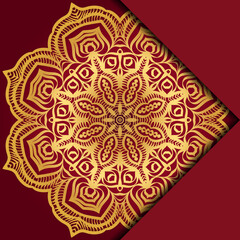 Mandala background. Vector illustration. For book cover