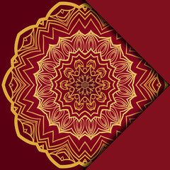 Mandala background. Vector illustration. For book cover