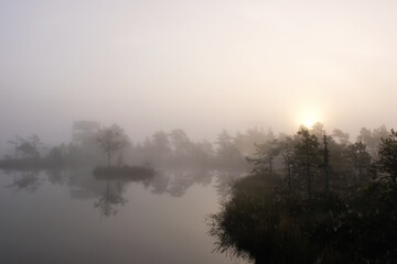 Fototapeta na wymiar foggy sunset in the swamp
