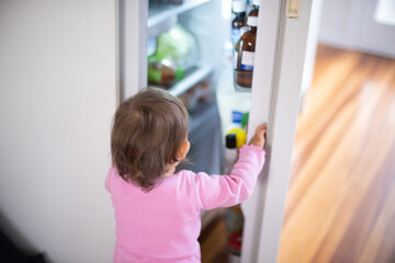 Child opening and looking into refridgerator