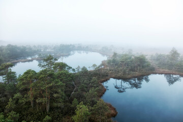 Fototapeta na wymiar reflection of lake in swamp