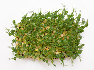 Peas, micro greens, citi - farms, vertical farms. View from above on a white background