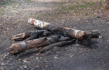 Abandoned extinguished bonfire in the woods. Taking care of nature, take care of the forest...