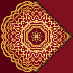 Mandala background. Vector illustration. For book cover