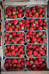 Erdbeere im Korb - 355415259