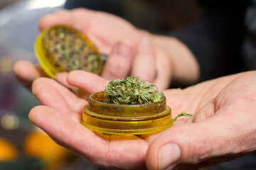 Male hands holding a marijuana grinder full of marijuana.