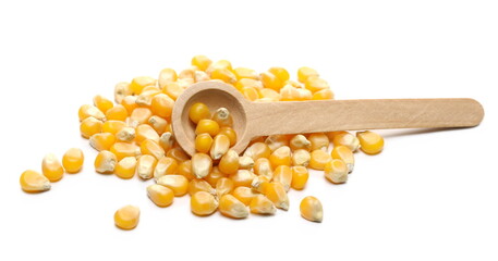 Raw corn, maize kernels with small wooden spoon isolated on white background