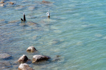 Fototapeta premium Balkhash lake, central Kazakhstan 