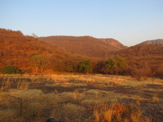 ranthambore