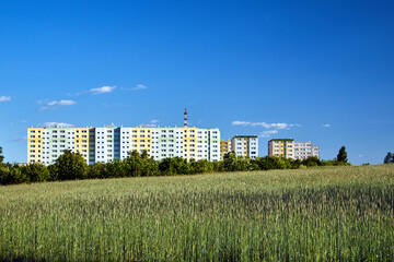 Fototapeta na wymiar A housing estate of multi-storey residential buildings and a field with ripening grain in the city of Poznan..
