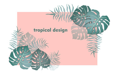 Tropical palm leaves and monstera on a pink background. Tropical design, frame.