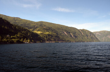 Naklejka premium Sognefjord, Norway, Scandinavia. View from the board of Flam - Bergen ferry.
