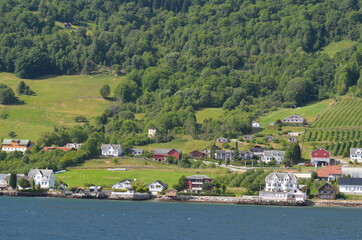 Obraz premium Sognefjord, Norway, Scandinavia. View from the board of Flam - Bergen ferry.