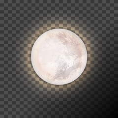 Full moon on the dark transparent background. Vector illustration. EPS 10.