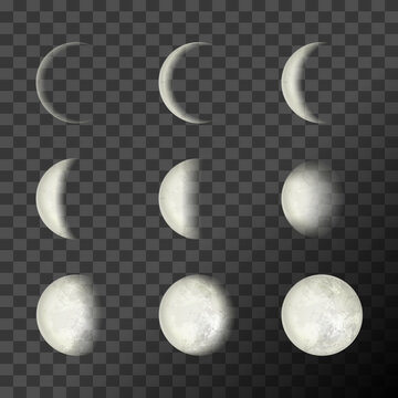 Moon Phases On A Transparent Background. Vector Illustration, EPS 10.