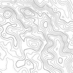 Topographic map background. Grid map. Abstract vector illustration.