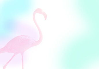 Naklejka premium Flamingo background, Background pastel color, pastel Flamingo pink color