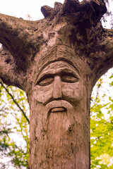 Fototapeta na wymiar The image of the Slavic deity Veles carved from root of a tree on a neo-Pagan temple in the forest. Kaluzhskiy region, Russia. Veles - the god of cattle breeding, wealth and wisdom