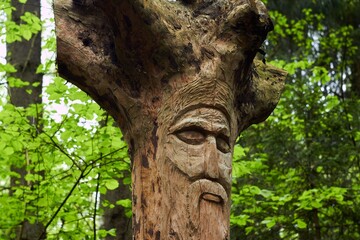 The image of the Slavic deity Veles carved from root of a tree on a neo-Pagan temple in the forest....
