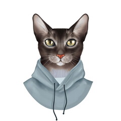 Dressed up cat. Cute digital illustration isolated on white