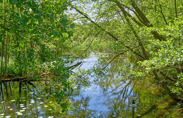 Der Liepnitzsee liegt im Wandlitzer Seengebiet etwa 8 km nördlich der Berliner Stadtgrenze