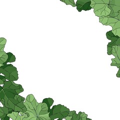 Vector square multicolored card. Corner frame with green leaves of pumpkins on white background. Hand line drawing. Template for Thanksgiving greeting card, Harvest festival invitation.