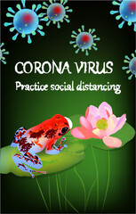 Corona Virus, practice social distancing banner with frog in a white medical face mask, lotus, text, Coronavirus Bacteria
