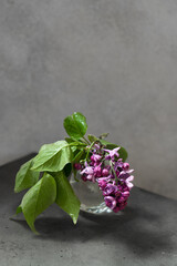 still life with violet lilacs in round shaped vase. vertical