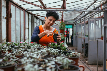 women working in flower nursery.small family business concept