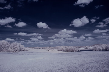 infrared photography - ir photo of landscape with tree under sky with clouds - the art of our world and plants in the infrared camera spectrum