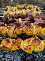 meat on a skewer on the grill on a picnic