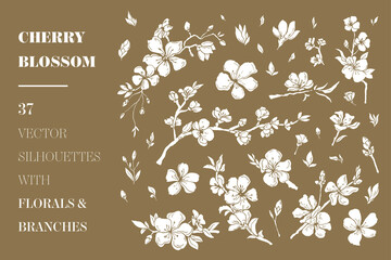 Cherry Blossom vector florals and branches - 355426261