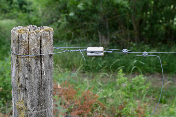 close up of a electrical wire fence around a pasture
