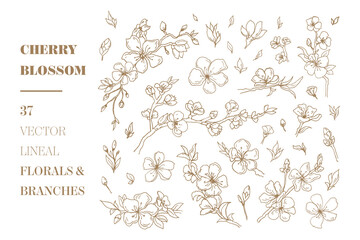 Cherry Blossom vector florals and branches
