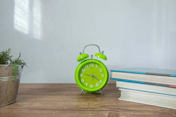 Green clock,green plant and a bunch of books in white background.Time concept 