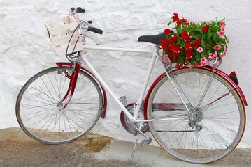 Fototapeta na wymiar Vintage bicycle with basket of red flowers against white trulli house, Alberobello, Apulia, Puglia, Italy