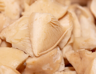 Sliced porcini mushrooms as a background.