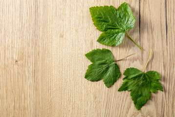 Green leaves from a tree on a wooden table.