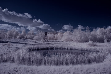 infrared photography - ir photo of landscape with tree under sky with clouds - the art of our world...