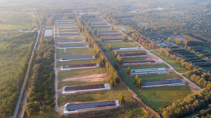 Asia Country Farmland With sunrise sky from drone aerial view with animal housing infrastructure.