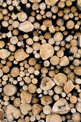 Möbelaufkleber stack of firewood © Ulf